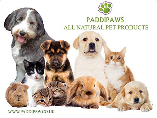 PADDIPAWS Not Tonight Fido - Bitch Spray - 100% Natural Anti-Mate Spray for Dogs - Helps to discourage the unwanted attention of male dogs. - PawsPlanet Australia