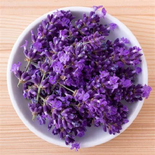 Espree Perfect Calm Lavender & Chamomile for Dogs Cologne - PawsPlanet Australia