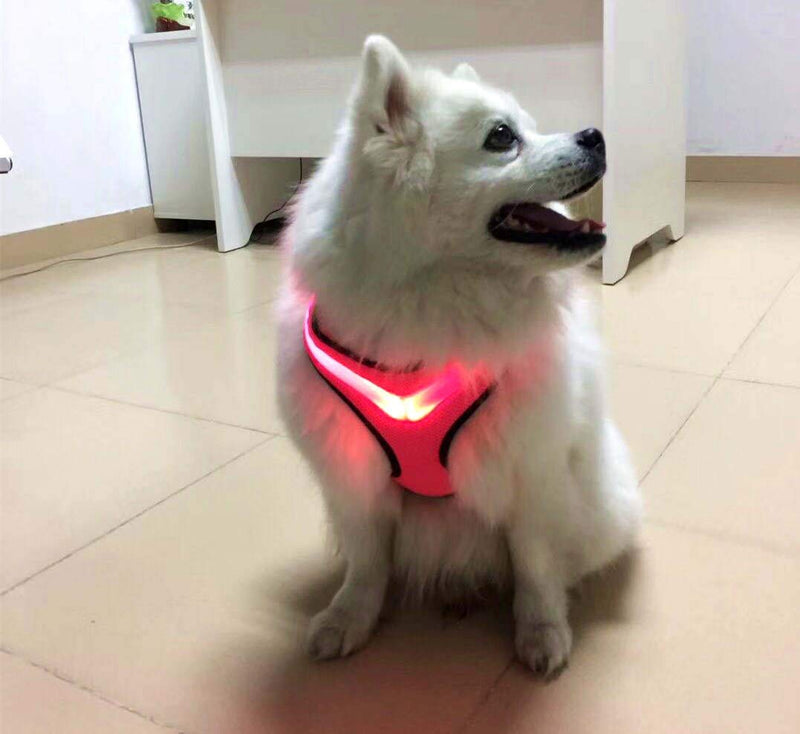 Dog Harness LED Light USB Rechargeable Adjustable Small Medium Large Choke Free (Small) - PawsPlanet Australia