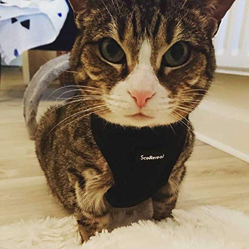 Scenereal Escape Proof Cat Harness and Lead Set - Soft Adjustable Vest Harness for Cats kitten Puppy Small Dogs, Black S - PawsPlanet Australia