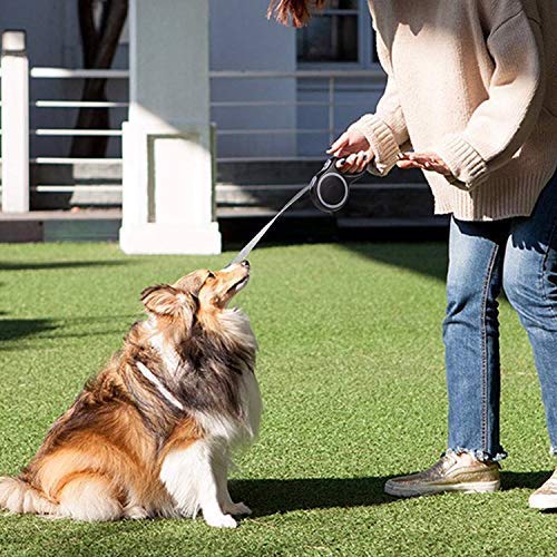 Retractable Dog Leash 16 FT Quick Locking Heavy Duty Tangle Free Pet Walking Leash with Comfort Grip, One-Hand Brake for 44 lbs Dogs & Cats - PawsPlanet Australia