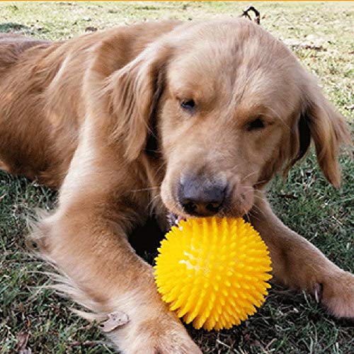 shadiao Dog Toy Sounding Bouncy Ball Dog Molar Cleaning Teeth Bite Resistant Ball Spiky Ball for Dog Pet Supplies Large Random Color - PawsPlanet Australia