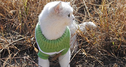 [Australia] - Evursua Striped Cat Sweaters Kitty Sweater for Cats Knitwear,Small Dogs Kitten Clothes Male and Female,High Stretch,Soft,Warm XS Green 