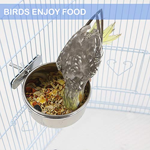 [Australia] - HERCOCCI 2 Pack Bird Feeder Bowl, Stainless Steel - Parrot Food Bowl Feeding Coop Cups Clamp Water Cage Dish with Fruit Skewer Holder for Parakeet Lovebird Conure Cockatiel Budgie Chinchilla 