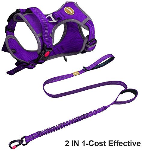 [Australia] - AdventureMore Dog Harness Leash Set, No-Pull Dog Harness, Front Clip Dog Harness, Reflective Dog Vest, with 5 ft Dual Handle Dog Leash, Padded Handles Bungee Training Dog Leash L(chest 17-35"/neck 18-26") Purple 