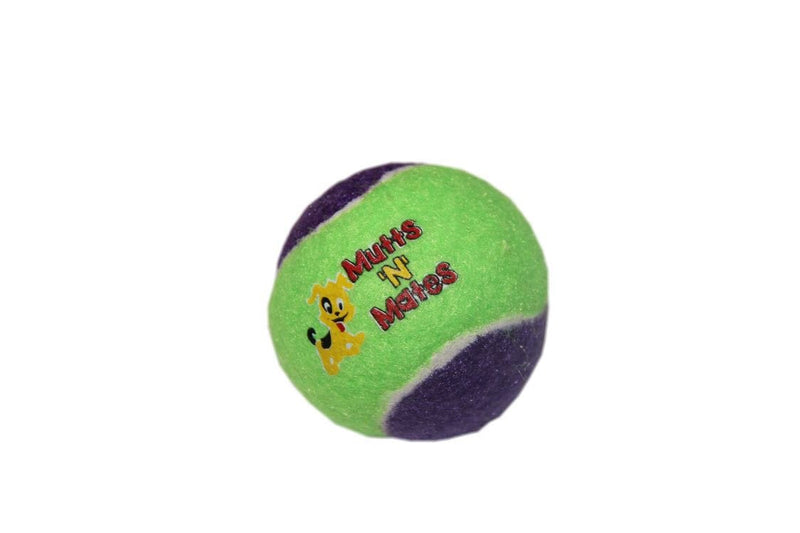 Mutts'N'Mates Small Squeaky Dog Balls - Super Bouncy Small Dogs Toy (Pack of 3) - PawsPlanet Australia