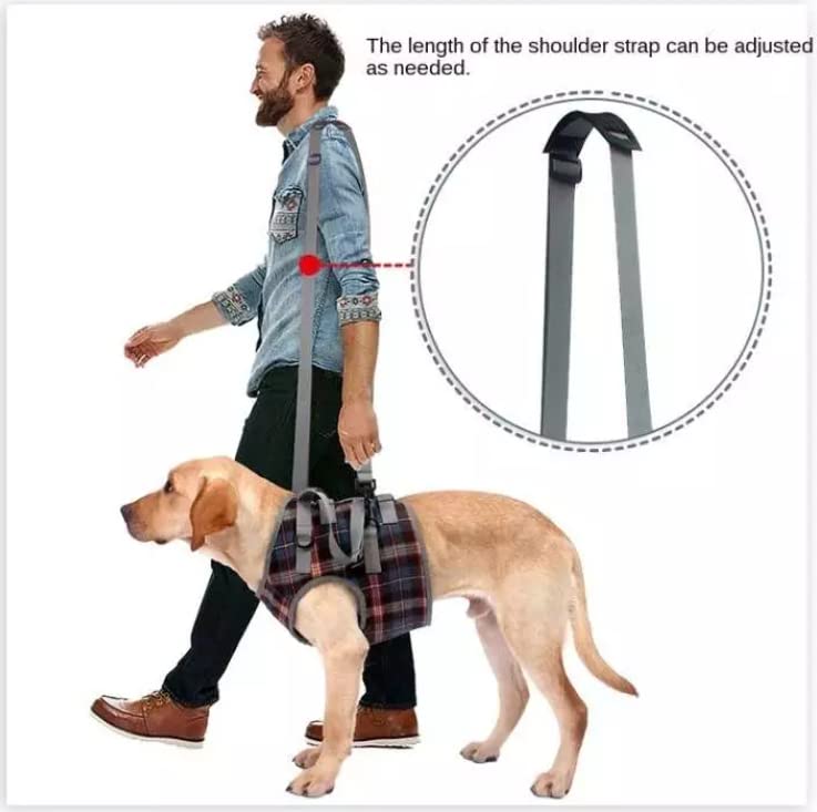 XTrador dog harness walking aid for dogs especially for problems with the shoulder carrying strap for injured, older or musculoskeletal limited dogs rehabilitation safety walking aid (S) S - PawsPlanet Australia