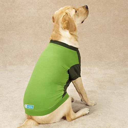 [Australia] - Guardian Gear Insect Shield Tee for Dogs Small/Medium Blue 
