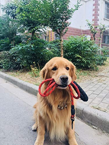 [Australia] - CNNLUG Dog Traction Rope is Soft and Comfortable 4.8 Ft Large Dogs are Available, Reflective Rope Padded Handle Safety is High, Colorful Nylon Rope is Available for Small and Medium Dogs Medium(1-Pack) Black 