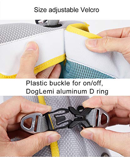 Dog Vest Harnesses, Jacket Harness no pull Sport Harness for Outdoor Training Walking(M) M (Chest: 43-47CM) - PawsPlanet Australia