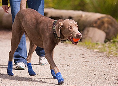 RC Pet Products Sport Pawks Dog Socks, Paw Protection Blue Heather X-Small - PawsPlanet Australia