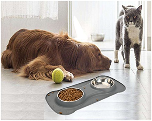 Dog Bowl No Spill Non skid Medium Pet Bowl Cat Double Bowl Dog Food & Water Feeding Bowl(M, Grey) - PawsPlanet Australia