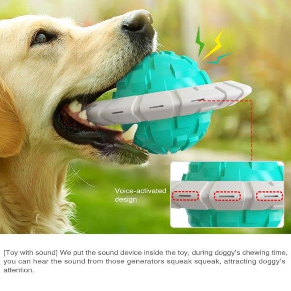 Dog Toys for Large Dogs Aggressive chewers Summer Dogs Ice Chewing Toys Dog Flying Disc Interactive Toys Dog Training Toy Blue - PawsPlanet Australia