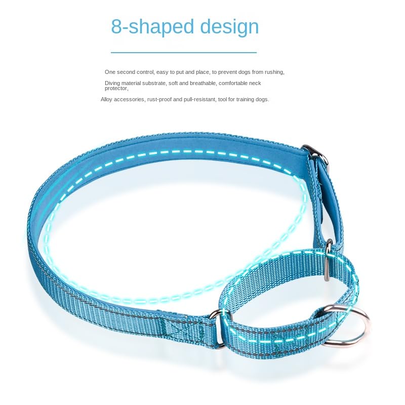 haoyueer Adjustable Martingale Safety Training Dog Collars, Soft Neoprene Padded Breathable Nylon Pet Collar for Large Medium Small Dogs (S, Orange) S - PawsPlanet Australia