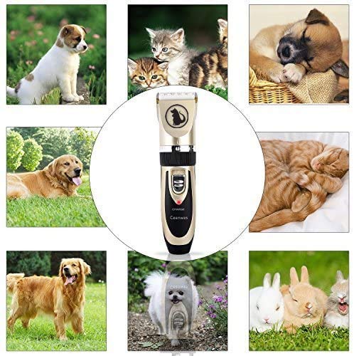 Ceenwes Dog Clippers Low Noise Pet Clippers Rechargeable Dog Trimmer Cordless Pet Grooming Tool Professional Dog Hair Trimmer with Comb Guides Scissors Nail Kits for Dogs Cats & Other(Gold) Gold - PawsPlanet Australia