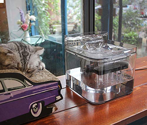 [Australia] - NPET Cat Water Fountain, 3L Automatic Pet Drinking Fountain Dog Water Dispenser with Quadruple-Action Filter Clear 