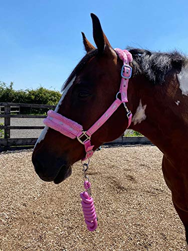 Equipride Horse Print Faux Lined Nylon Headcollars with Matching Lead Rope PINK (Mini Shetland) - PawsPlanet Australia