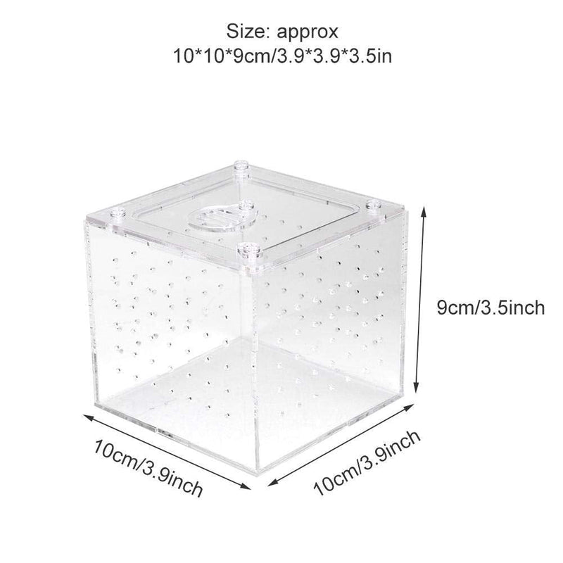 Acrylic Reptile Breeding Box Transparent Live Food Storage Insect Viewing Box for Spider Crickets Snails Hermit Crabs Tarantulas Geckos 3.9x3.9x3.5inch - PawsPlanet Australia