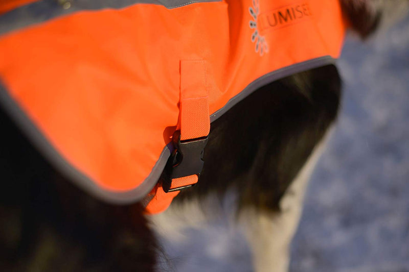 ILLUMISEEN LED Dog Vest | Orange Safety Jacket with Reflective Strips & USB Rechargeable LED Lights | Increase Dog’s Visibility When Walking, Running, Training Outdoors M - PawsPlanet Australia