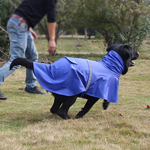 [Australia] - Haolgo Dog Jackets,Dog Raincoat, Lightweight Rain Jacket Poncho Hoodies with Strip Reflective,Waterproof Coats for Dogs,L,Blue 