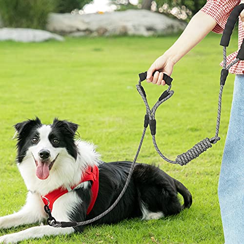 BTINESFUL 10FT Double Handle Traffic Dog Leash- Two Handle Dog Leash for Small Medium Large Dogs Control Safety Walking and Training black - PawsPlanet Australia