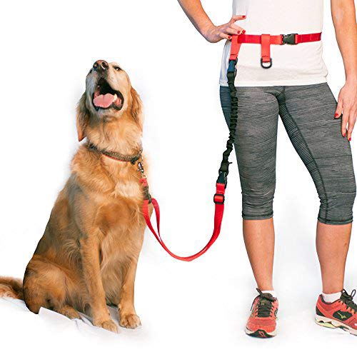 [Australia] - The Buddy System Made in USA, Lunge Buster, Shock Absorber Dog Leash Regular Dog Size Black 