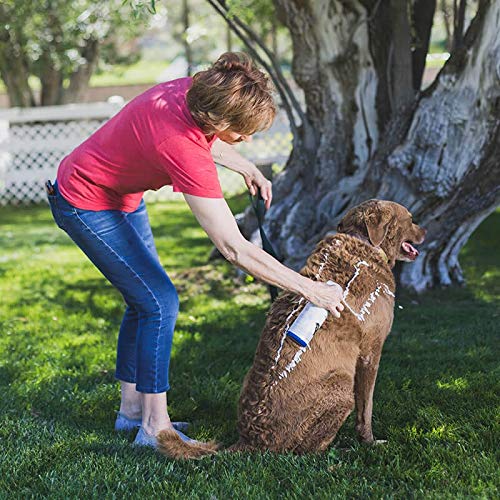 [Australia] - Vetericyn FoamCare Medicated Pet Shampoo. For Dogs, Cats and All Animals with Sensitive Skin. Anti-Itch, Promotes Healthy Skin and Coat, Hypoallergenic in Easy Spray Bottle. 16 Ounce, 473 Milliliters. Medicated Shampoo 