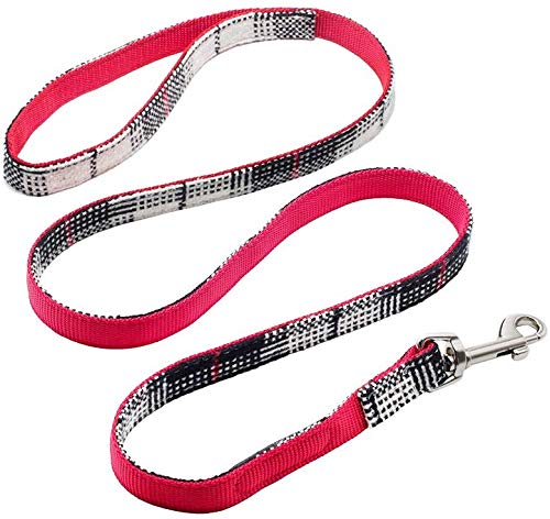 Rayzm Pet Collar and Leash Set with Detachable Bow Tie for Small Dogs, Adjustable Dog Collar, 115 * 1.5cm Soft Comfortable Leash with Strong Metal Hook (S) S - PawsPlanet Australia