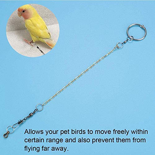 Birds Foot Chain Stainless Steel Parrot Anklet Chain Training Harness for Different Kinds and Sizes of Parrots(Agapornis) Agapornis - PawsPlanet Australia