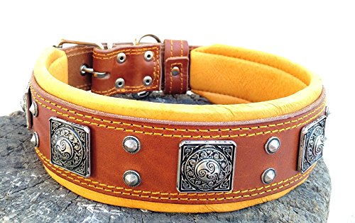 [Australia] - Bestia "EROS Brown Leather Dog Collar, Large Breeds, Cane Corso, Rottweiler, Boxer, Bullmastiff, Dogo, Quality Dog Collar, 100% Leather, Studded M- fits a neck of 16.7 - 20.6 inch 