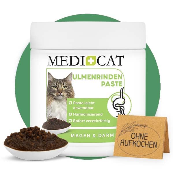 Medicat Premium Elm Bark Paste - 200 g - for cats - for heartburn, diarrhea and vomiting for intestinal cleansing - PawsPlanet Australia