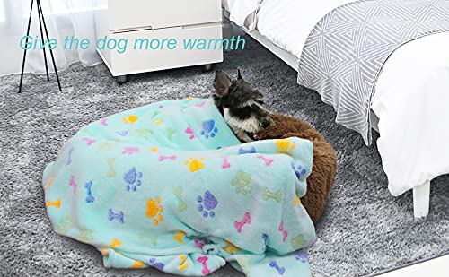 Patas Lague Bone Footprint Pattern Dog Blanket Pet Blanket for Couches and Sofas Super Soft Puppy Blanket for Dogs & Cats 1 Pack of 50x60 Inches Green - PawsPlanet Australia