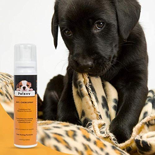 Dog Cat No Chew Spray Deterrent, Anti Chew Pet Training Corrector for Dogs, Non-Toxic, Alcohol Free - PawsPlanet Australia