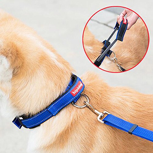 [Australia] - Creation Core 1 Set Adjustable Dog Seat Belt & Dog Collar with Elastic Handle Soft Padded Premium 2 in 1 Reflective Pet Leash S(neck girth 15-17") Blue 