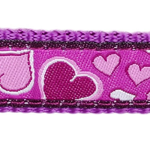 Red Dingo Breezy Love Martingale Dog Collar (20mm x 32-47cm), M Medium - PawsPlanet Australia