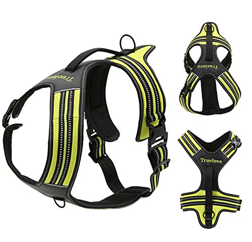 Da Jia Inc Reflective No-pull Dog Harness with Padded Handle Breathable Durable Pet Vest Front and Rear Leash Hookup, Pink M - PawsPlanet Australia