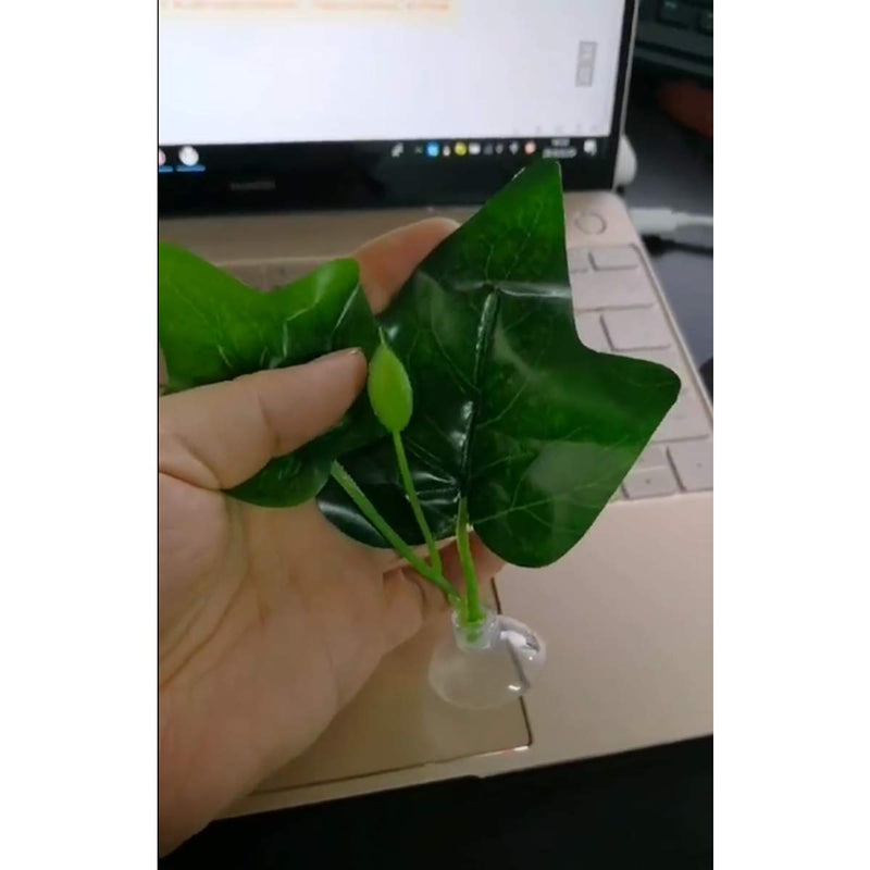 [Australia] - JZMYXA Betta Fish Leaf Pad Betta Hammock Toys with Suction Cup, 2 Pieces, Plastic 