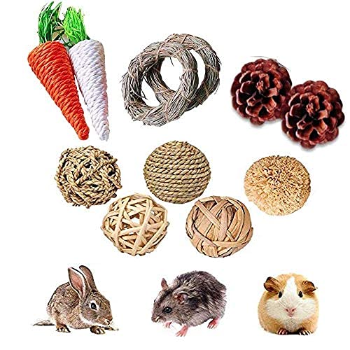 YANGWX 11 Pcs Rabbit Hamster Chew Toys, Small Animal Activity Play Chew Toys for Cleaning Teeth, Rattan Woven Straw Fun Toys Bite Filler for Bunny Hamster Guinea Pigs Gerbils L:11PCS - PawsPlanet Australia