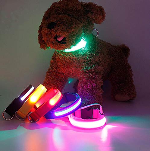 LED Dog Collar, USB Rechargeable Nylon Glowing Pet Collar, Fashion Safety Lights for Small Medium Large Dogs Black L (18.9-22"/48-56cm) - PawsPlanet Australia