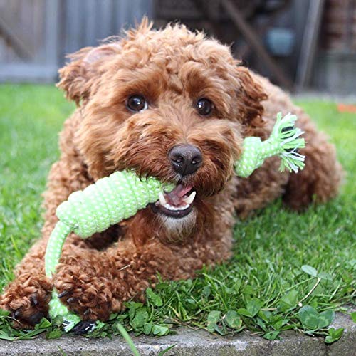 Buddy Wild Dog Toys with Treat Ball Included - 100% Natural, Tough and Durable Rope Chew Bundle - Teething Training, Interactive and Relieve Boredom for Puppy and Small Dogs - PawsPlanet Australia