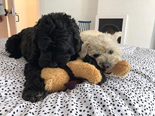 Scarlaroo Squeaky Dog Toys, present our Dog Teddy Toy for Pets Range of Soft Plush Bears. (Teddies (Bobby)) Teddies (Bobby) - PawsPlanet Australia