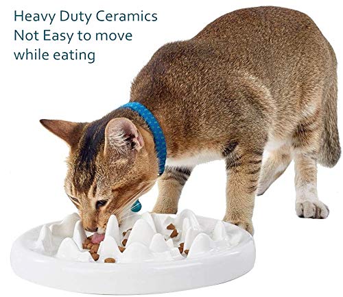 [Australia] - LORVOR Slow Feeder Bowl with Mat, Ceramic Interactive Slow Feeding Bowl Fins Design - Anti-gulping Slow Down Eating Prevent Choking Pet Bowl Feeder White - Ceramic 