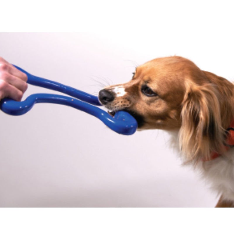 [Australia] - Planet Dog Orbee-Tuff Tug o War Interactive Durable Fetch-Play Dog Toy, Super Stretchy, Made in The USA, 10.25-inches, Blue 