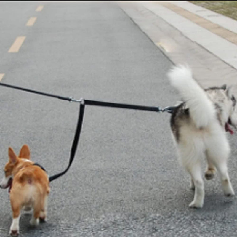 Double Leash for 2 Dogs - Coupling Leash for 2 Small Dogs, Adjustable Double Pet Trainer, Double Leash Walking Trainer Leash for Two Dogs, Black - PawsPlanet Australia