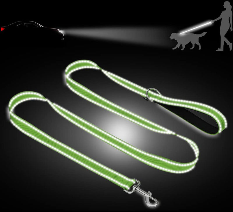 Taglory Dog Leash Small Dogs Lightweight | Double-sided reflective | Padded handle | Up to 10kg | 1.8mx 2cm | Green 1.8 m x 2.0 cm (pack of 1) - PawsPlanet Australia