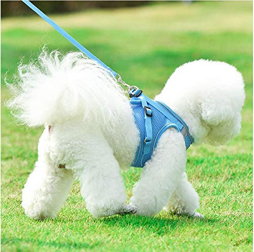 Puppy Dog harness with 1.5m leash, Reflective adjustable pet vest strap for puppy kitten, No pull safe harness for dog cat walking running training Breathable Chest Padded Escape proof M Blue - PawsPlanet Australia