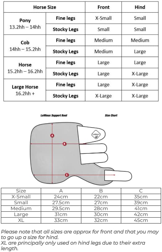 LeMieux Support Boots for Horses - Airprene Lining - Lightweight & Protective Medium Black - PawsPlanet Australia