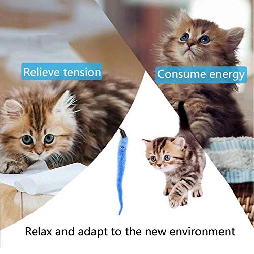 Eguoer [ 11PCS ] Retractable Cat Feather Toy Set, 1PCS Retractable Cat Wand Toys and 10PCS Replacement Teaser with Bell Refills, Cat Toys for Indoor Cats - PawsPlanet Australia