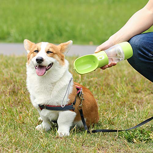 Haqi Dog Water Bottle for Walking, Multifunctional and Portable Dog Travel Water Dispenser with Food Container,Detachable Design Combo Cup for Drinking and Eating,Suitable for Cats and Puppy Pink - PawsPlanet Australia