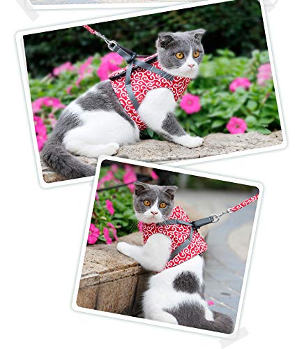 RC GearPro Cat chest strap Leash Cat Japanese Vest Style Clothes Adjustable Cat Harness Soft Padded Vest for Kittens (S, Blue) S - PawsPlanet Australia